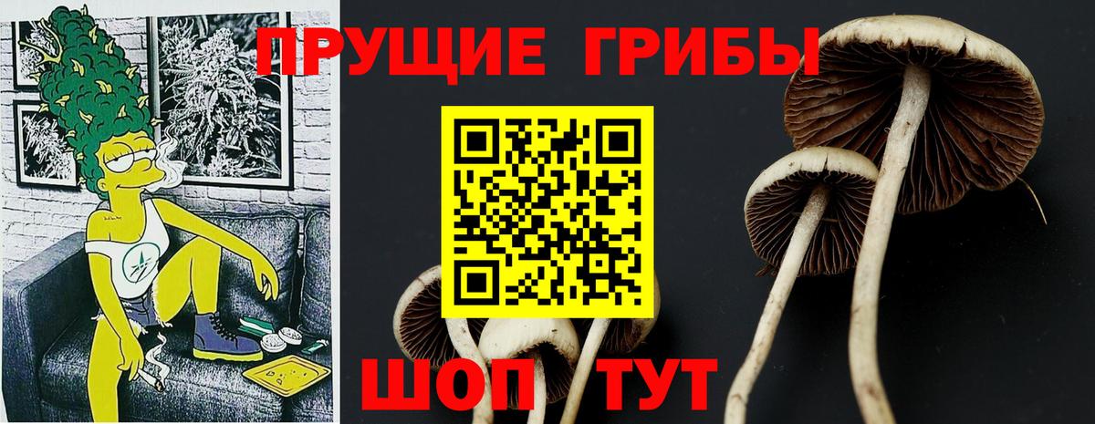 Галлюциногенные грибы GOLDEN TEACHER Рязань