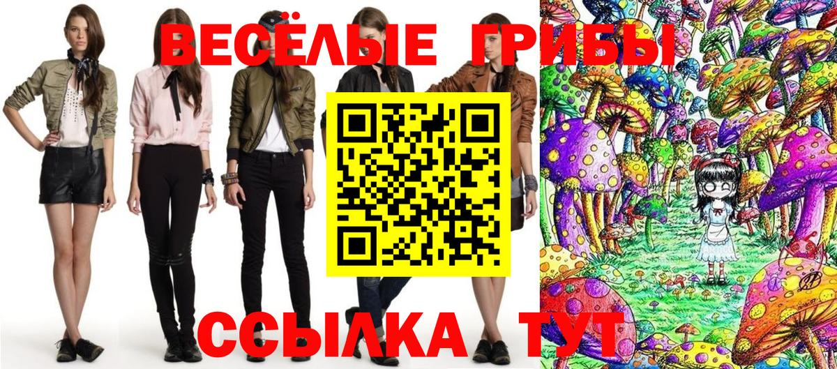 Псилоцибиновые грибы ЛСД  как найти   Вход с VPN  Рязань  Галлюциногенные грибы мухоморы 