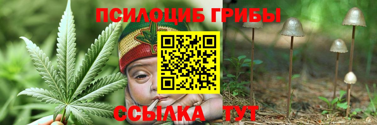 Псилоцибиновые грибы мухоморы Рязань